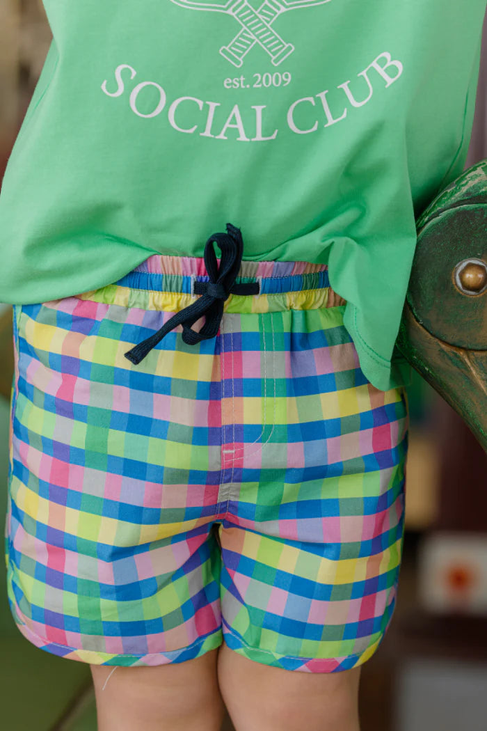 Picnic Check Boardshorts