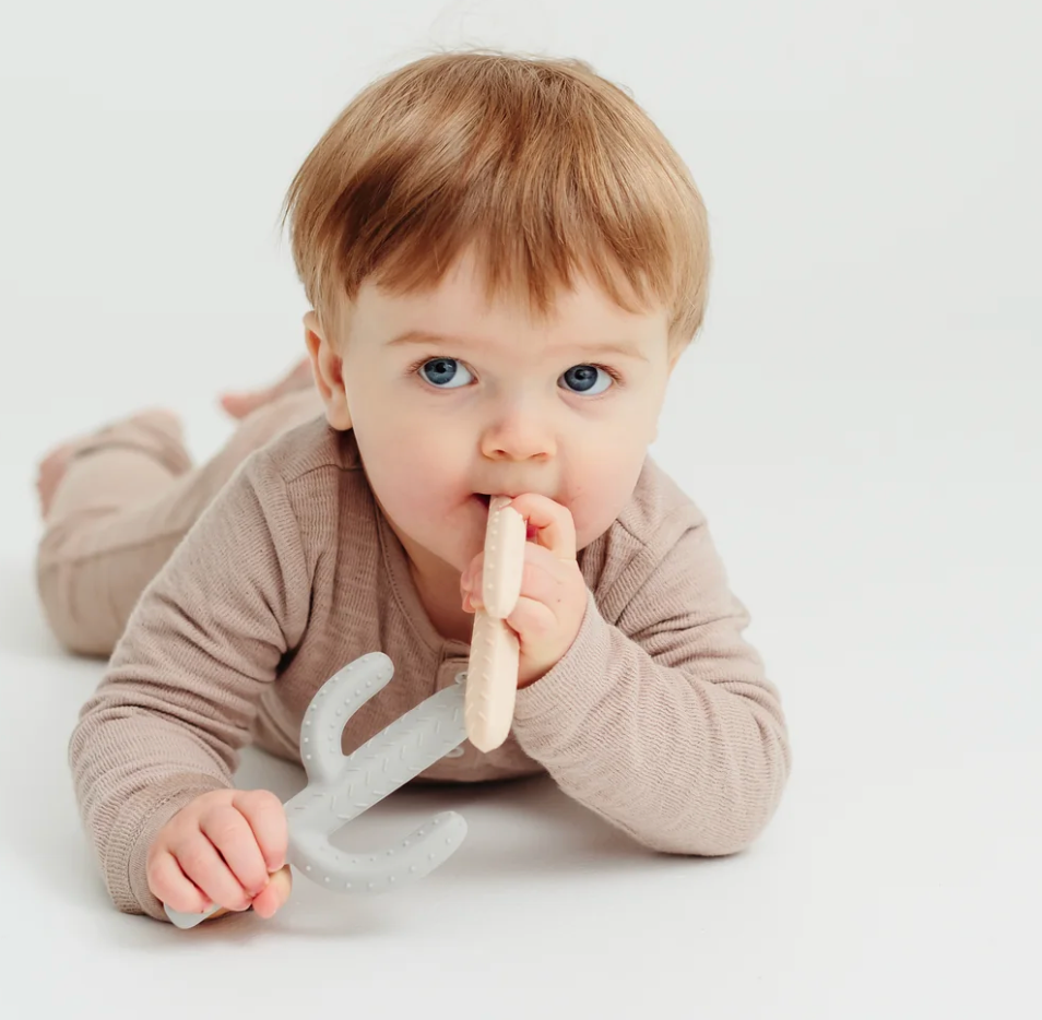 Teether Cactus - Bone
