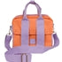Lunch Tote
