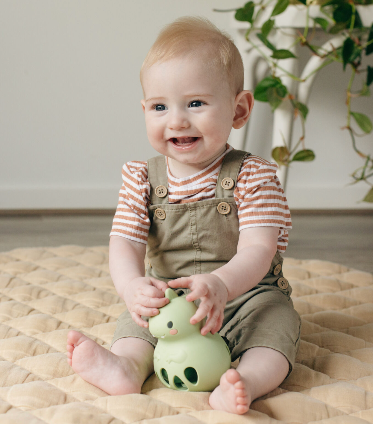 Silicone Rattle - Dino