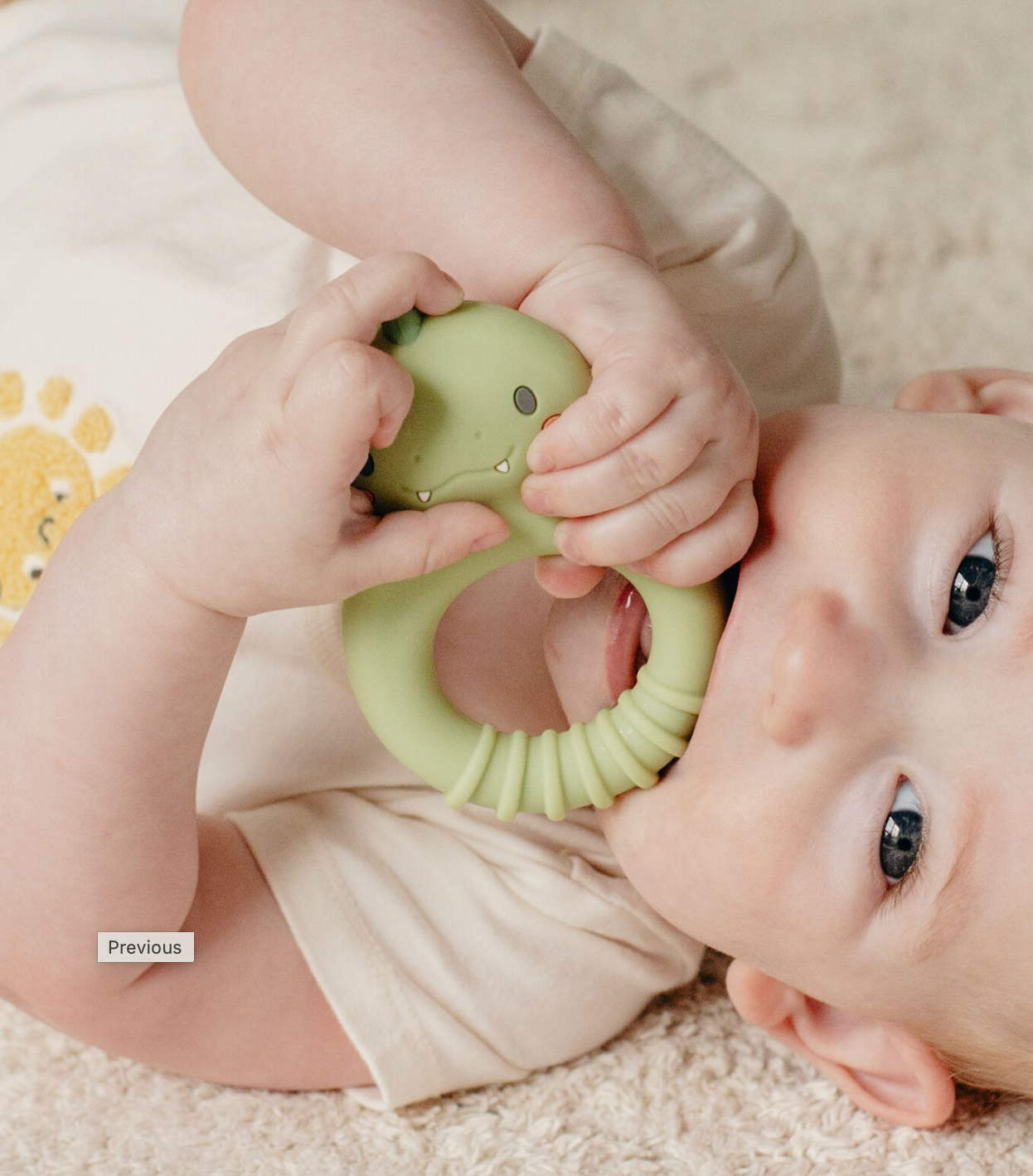 Sillicone Teether - Dino