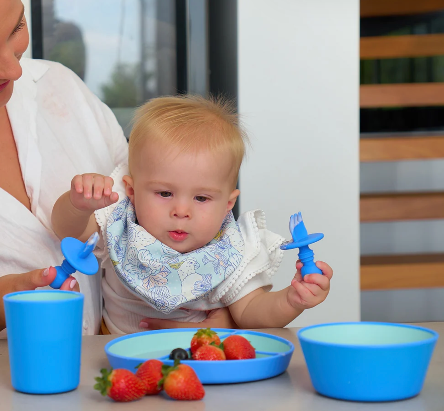 Silicone Two Tone Dinner Set